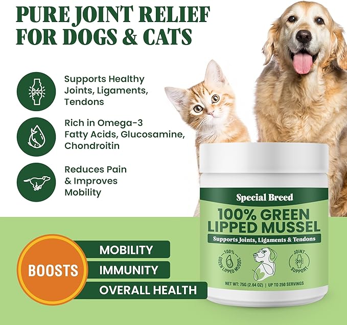 Green Lipped Mussel Powder for Dogs & Cats - 100% New Zealand Green Lipped Mussels - Natural Hip & Joint Supplement for Joints, Tendons, Ligaments, Muscles - 75 Grams - Up to 250 Servings