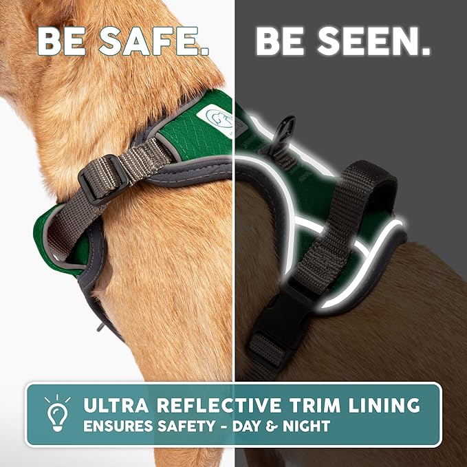 Embark Adventure Dog Harness, Reflective Trim No Pull Dog Harnesses for Small Sized Dogs - Military Grade Nylon, Front Clip with Gel Lined Handle.