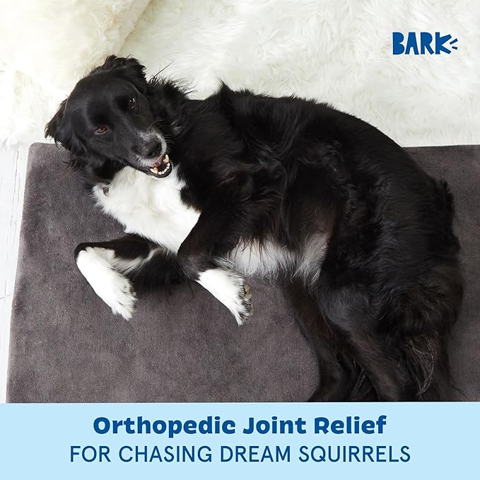 Barkbox Orthopedic Dog Bed with Memory Foam, Premium Comfort for Dogs and Puppies, Large Sized Dog Bed for Joint Relief and Restful Sleep, Durable and Easy to Clean - Grey, Large