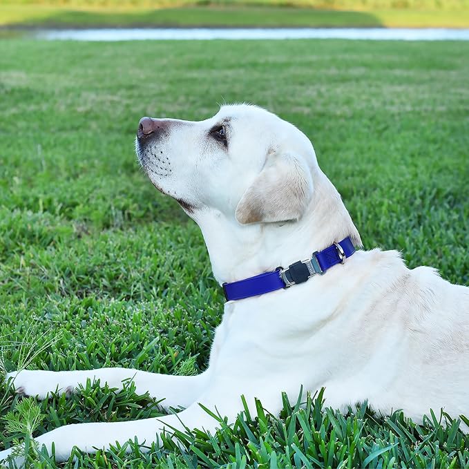 Dogline Biothane Waterproof Dog Collar with Herm Sprenger Stainless Steel Quick Release Buckle – Heavy Duty Tactical Durable Collar for Dogs – Comfortable and Safe Pet Collar W 1" L 15-25" Blueberry