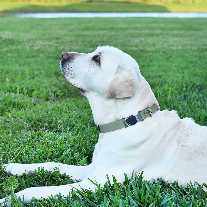 Dogline Biothane Waterproof Dog Collar with Herm Sprenger Stainless Steel Quick Release Buckle – Heavy Duty Tactical Durable Collar for Dogs – Comfortable and Safe Pet Collar W 3/4" L12-19 Sage Green