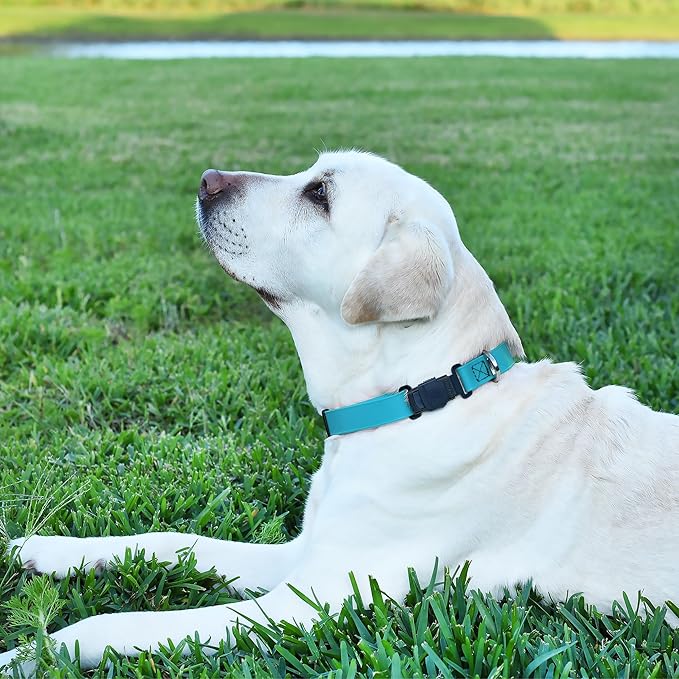 Dogline Biothane Waterproof Dog Collar with Herm Sprenger Stainless Steel Quick Release Buckle – Heavy Duty Tactical Durable Collar for Dogs – Comfortable and Safe Pet Collar, W 3/4" L 12-19" Sky Blue