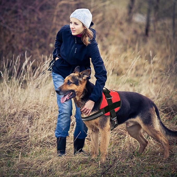 Dogline Dog Harness, Reflective No-Pull Adjustable Vest with Handle, Breathable No-Choke Harness for Small, Medium or Large Dogs Room for Patches Girth 27 to 34 in Red