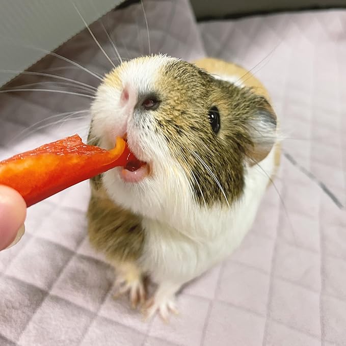 GuineaDad Premium Liner – Fleece Guinea Pig Cage Liner – Ultra-Plush Reusable Fleece Bedding with Waterproof Bottom – Extra Absorbent Liner for 2x3 C&C Cage (Blush)