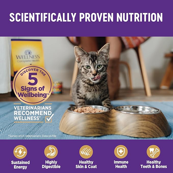 Wellness Complete Health Pate Adult Wet Cat Food, Natural, Protein-Rich, Grain Free, 5.5 Ounce, 24 Pack, (Chicken)