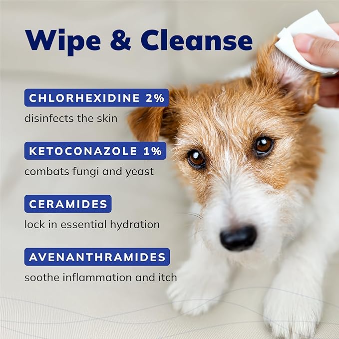 CeraSoothe CHX+KET Antiseptic Wipes Formulated for Dogs, Cats, & Horses – Chlorhexidine & Ketoconazole Medicated Pet Wipes – Antibacterial & Antifungal Skin Care for Pets – 30 Count