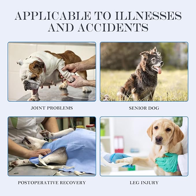 Dog Lift Harness, Full Body Support with Adjustable Control Handle for Small Senior Dogs, Post-Surgery Recovery & Joint Problems (Oxford Cloth, S)