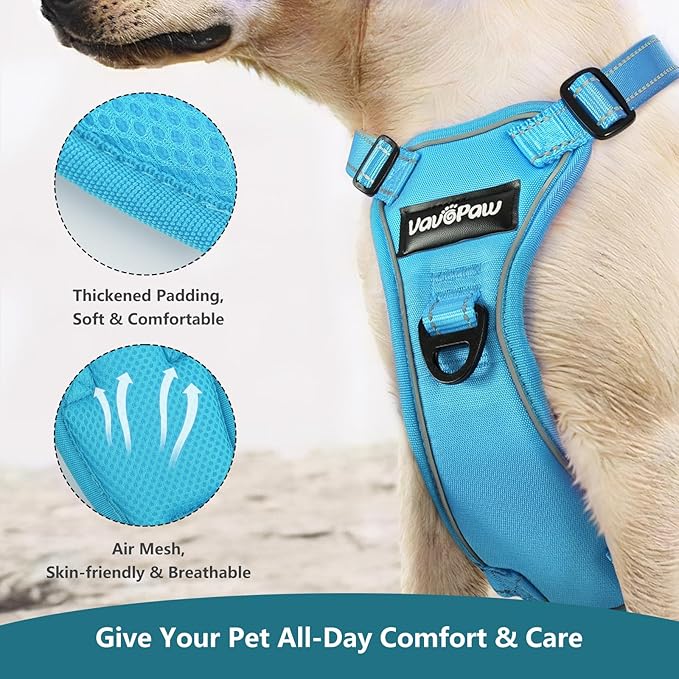 Dog Seat Belt Harness for Car, Dog Car Harness Adjustable Mesh Breathable & Dogs Seatbelt Safety Tether with Elastic Bungee for Small Medium Large Pets(Blue, S)