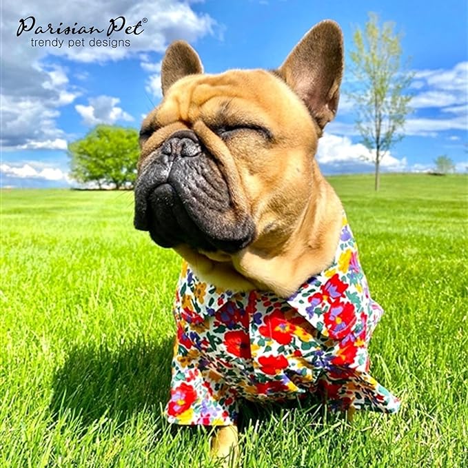 Parisian Pet Floral Pattern Dog Shirt - 100% Cotton Summer Clothes - Stylish Beach Outfit - Hook and Loop Closure - Machine Washable - Medium Size