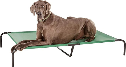 Amazon Basics Cooling Breathable Elevated Dog Bed with Durable Metal Frame, for Large Dogs, X-Large, 60 x 37 x 9 Inch, Green