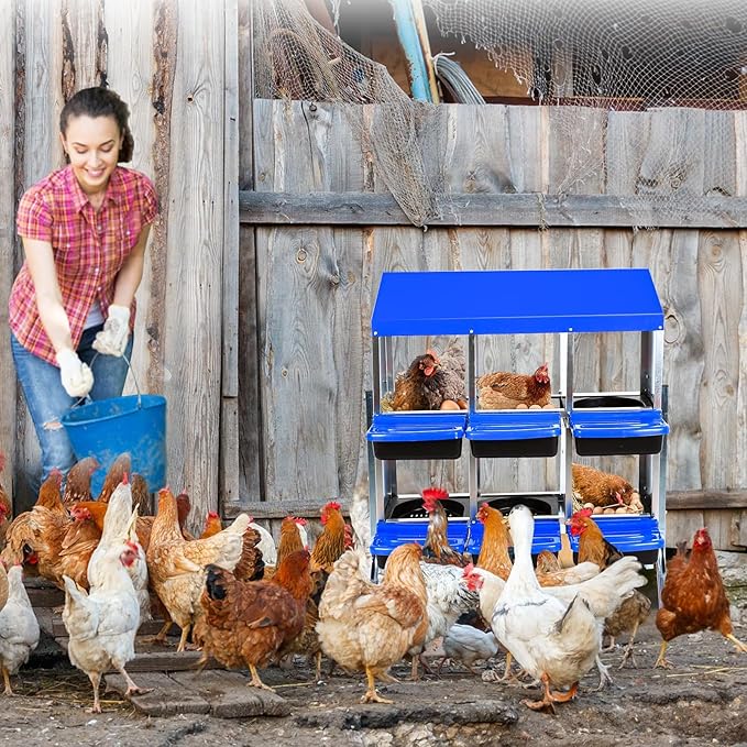 Chicken Nesting Box, 6 Hole 2 Layer Hen Nest Boxes with Legs, Roll Away Eggs Laying Boxes,Cleanable Pull Out Hen Roosting Boxes