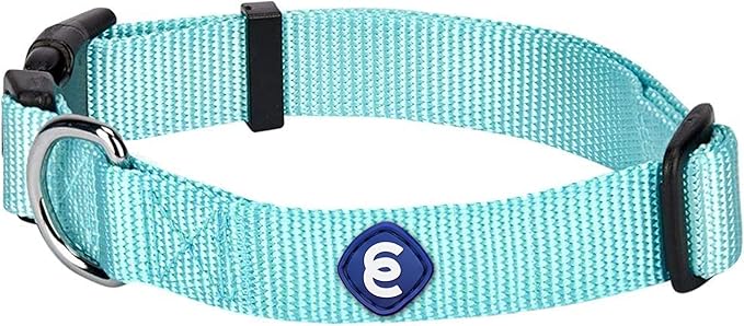 Blueberry Pet Essentials X-Small Dog Collar in Mint Blue | Adjustable & Eco-Friendly Durable Nylon Strap | Classic Collar for X-Small Dogs, Boy & Girl Pets