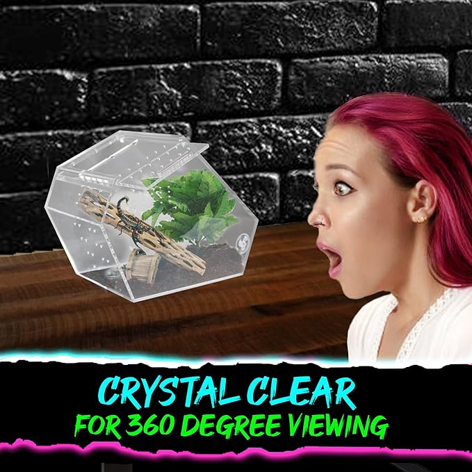 Coffin Shaped Jumping Spider Enclosure 9.5”x7.5”x5” Tarantula Enclosure Reptile Terrarium w/Sliding Magnetic Door. Great Reptile Tank Acrylic Aquarium Spider Box for Terrestrial or Arboreal Animal.