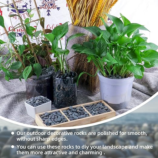 2.4lb River Rocks Pebbles for Plants & Succulents, Decorative Outdoor Landscaping & Aquarium Garden Rocks