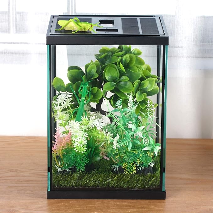 crapelles Black Small Vertical Insect GlassTerrarium, 7.8x7.8x10.8'' Reptile Tank, for Tarantula Larvae Caterpillar Frog Snail Spider Hermit Crab Habitat Container House Cricket Breeding Box