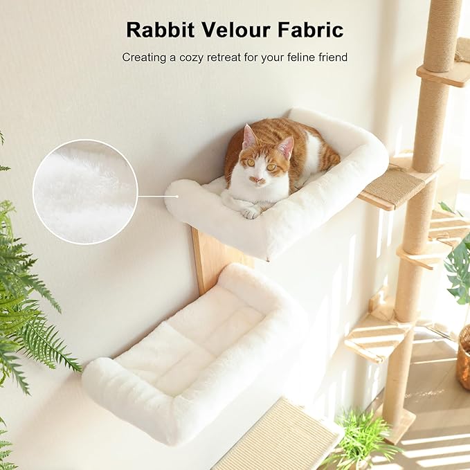 FUKUMARU Cat Wall Shelves, 2 Platform Cats Walls Furniture, Tree Shape Kitten Floating Shelf with Soft Cushion Perch, Solid Rubber Wood for 16 Inch Drywall, Suitable for Climb, Play, Nap