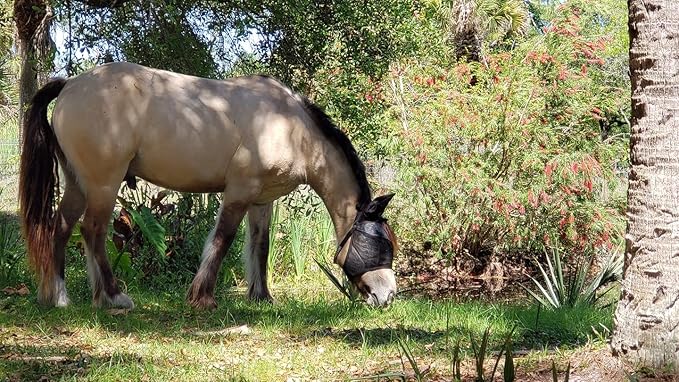 95% UV Eye Protection (Pony) Standard Horse Fly Mask - Help with Uveitis, Corneal Ulcer, Cataract, Light Sensitivity, Cancer. Designed to Stay On Your Horse, Off The Ground!