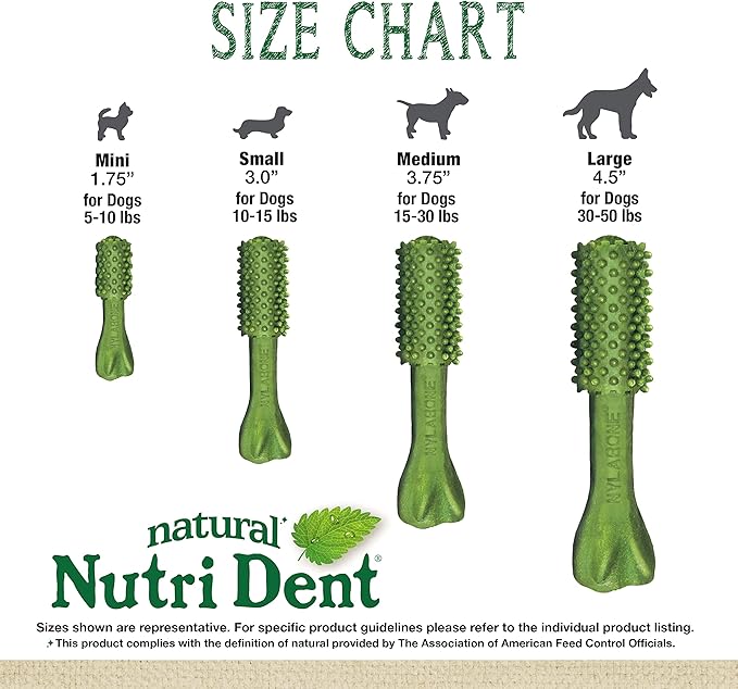 Nylabone Nutri Dent Dog Dental Chews, Natural Teeth Cleaning Treats & Breath Freshener for Dogs, Fresh Mint Flavor, Mini (78 Count)