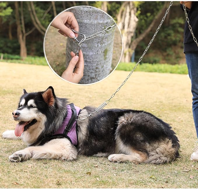 25ft Heavy Duty Chew Proof Dog Tie Out Chain Leash with Shock Absorbing Spring&Lockable Hooks-Up to 200Lbs,Use for Yard,Garden,Camping or Travel