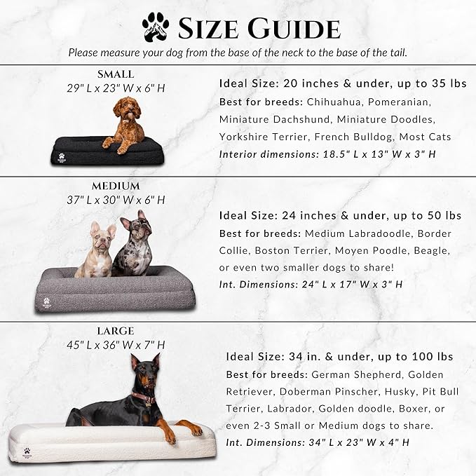Luxury Boucle Fabric Orthopedic Dog Bed with Memory Foam | Breathable Comfort and Washable Dog Couch Bed with Waterproof Liner & Cover | Sofa Beds for Medium Dogs - Bone 37"x30"x7.7"