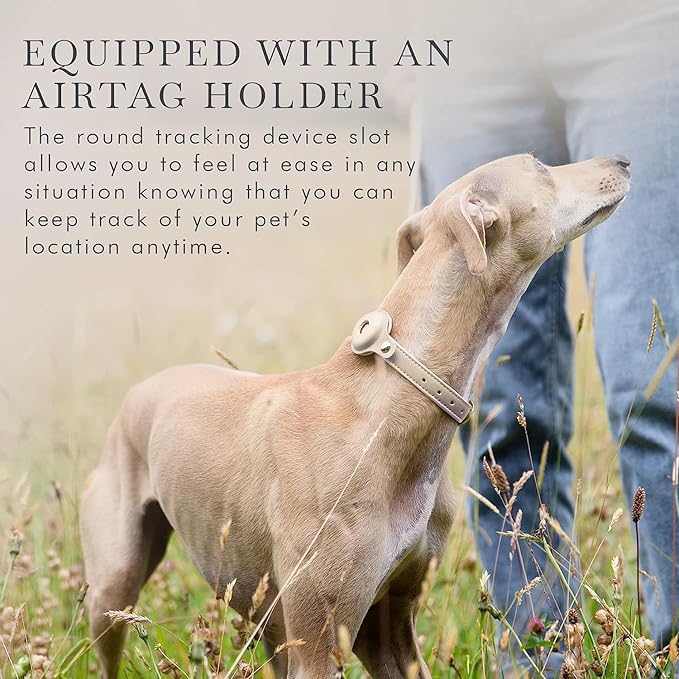 Cupertino Dog Collars, Harnesses & Leashes Made from Vegan Leather with Dog Tracker Device Holder Adjustable Dog Collar (Medium, Beige)