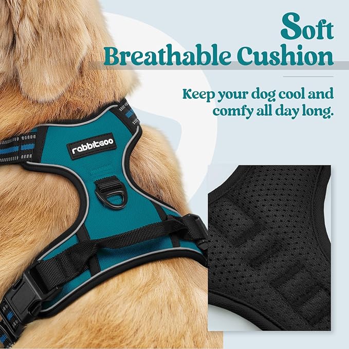 rabbitgoo Dog Harness No Pull with 2 Leash Clips, Adjustable Soft Padded, Reflective Oxford No Choke Pet Vest with Easy Control Handle for Small Dogs, Blue Coral, S