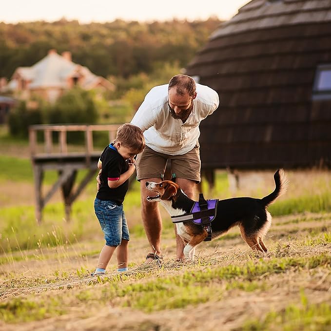 Dogline Dog Harness, Reflective No-Pull Adjustable Vest with Handle for Walking, Training, Breathable, No - Choke Harness for Small, Medium or Large Dogs Room for Patches Girth 15 to 18 in Purple