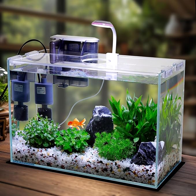 3 Gallon Glass Small Fish Tank, Betta Fish Tank Starter Kit with Filter, Lights,Lid.