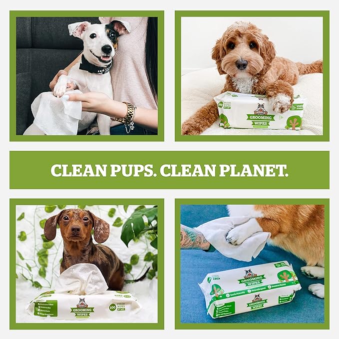 Pogi’s Dog Grooming Wipes – Hypoallergenic Pet Wipes for Paws, Body & Butt – Cleaning & Hydrating, Green Tea Scent, 400-Count