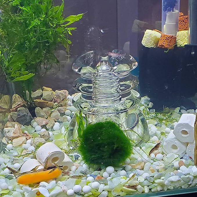 7lb Jade Bean Pebbles,1/4 Inch Cactus Bonsai DIY Rocks, Natural Succulent Rock and River Rocks Decorative for Aquariums, Vases, Terrarium, Outdoor Gardening, Top Dressing for Potted Plants