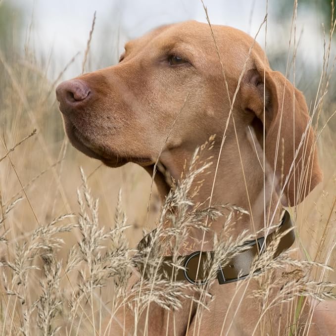 Dogline Biothane Waterproof Dog Collar Strong Coated Nylon Webbing with Black Hardware Odor- Proof for Easy Care Easy to Clean High Performance Fits Small Medium or Large Dogs, Dark Chocolate Brown