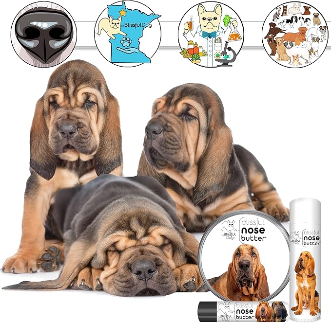 The Blissful Dog Fawn Boxer Nose Butter for Dry, Cracked Skin, Lick-Safe Dog Nose Balm with Moisturizing Shea Butter, Almond, Olive, and Essential Oils, Pet Supplies, Uncented, 1 oz.