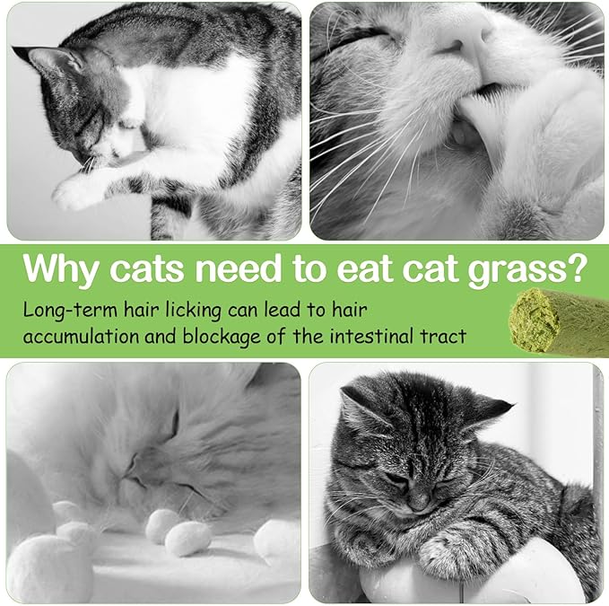 HavenJanny 100g Cat Grass Teething Stick, Freezed Drying Cat Grass Sticks Snacks for Cats, Edible Cats Treats for Teeth Cleaning and Hairball Removal