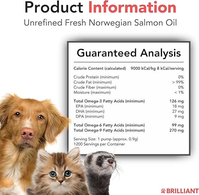 Brilliant Omega 3 Salmon Oil for Dogs & Cats - Norwegian Fish Oil Supplement with EPA & DHA Fatty Acids for Shedding, Allergy, Itching, Dry Skin & Joint Health - Skin and Coat Fish Oil Liquid, 40 Oz