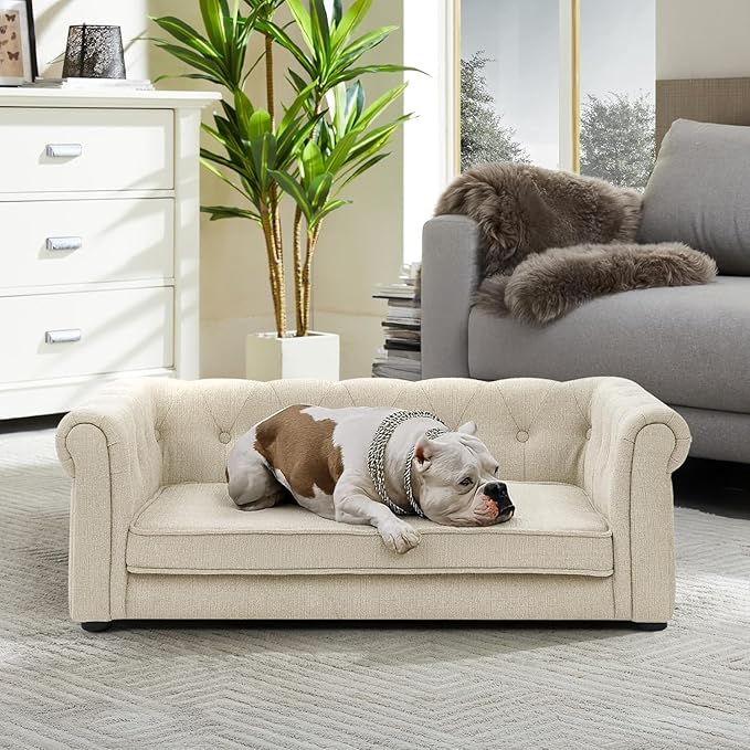 Dog Sofa Couch for Medium to Large Dogs, 31" Memory Foam Dog Couch with Washable Fabric, Removable Cushion, Sofa Bed for Medium and Large Dogs, Beige