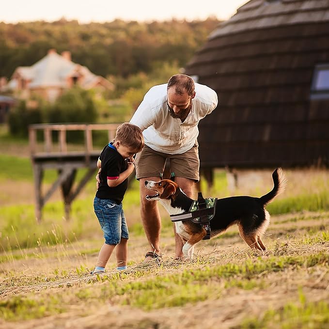 Dogline Dog Harness, Reflective No-Pull Adjustable Vest with Handle for Walking, Training, Breathable, No - Choke Harness for Small, Medium or Large Dogs Room for Patches Girth 22"-28" in Green Camo