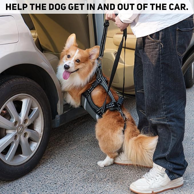 COODEO Mobility Dog Lift Harness, Emergency Carry Sling, Pet Rear Leg Support Rehabilitation Lifts Vest, Dog Carrier for Senior Dogs Joint Injuries, Arthritis (Military Green, L)