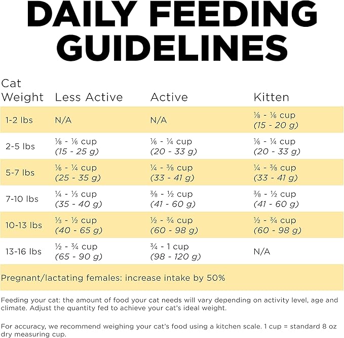 Go! Solutions Sensitivities Limited Ingredient, Grain-Free Dry Cat Food, Duck Recipe for Sensitive Stomach, 8 lb Bag