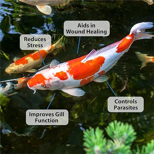 CrystalClear ParaSalt Outdoor Pond & Water Garden Rock Salt Crystals, Fish Parasite Control, Beneficial Stress Reducing & Slime-Coat Treatment, Natural Aquatic Additive, Koi, Plants & Pet Safe, 10 lbs