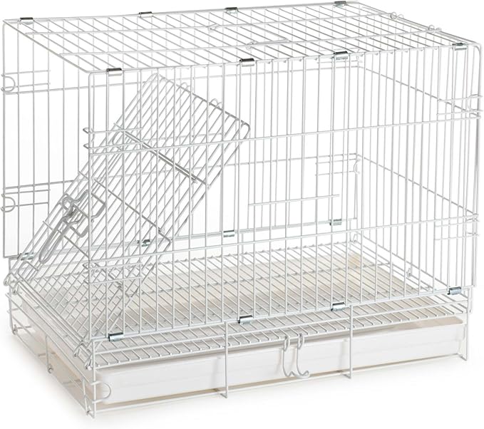 Durable Easy Portable Collapsible Metal Travel or Veterinary Collapsable Parrot Bird Carrier Beaks-Proof Easy Clean Carrier Cage with Stainless Steel Feeder Bowls Natural Wooden Perch