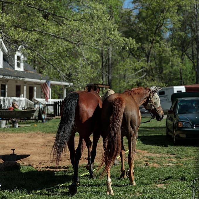 County Vet FarmGard Farm and Dairy Fly Spray -16 oz - (Case of 6) - 349316CVB - Provides Rapid Control of Barn Pests