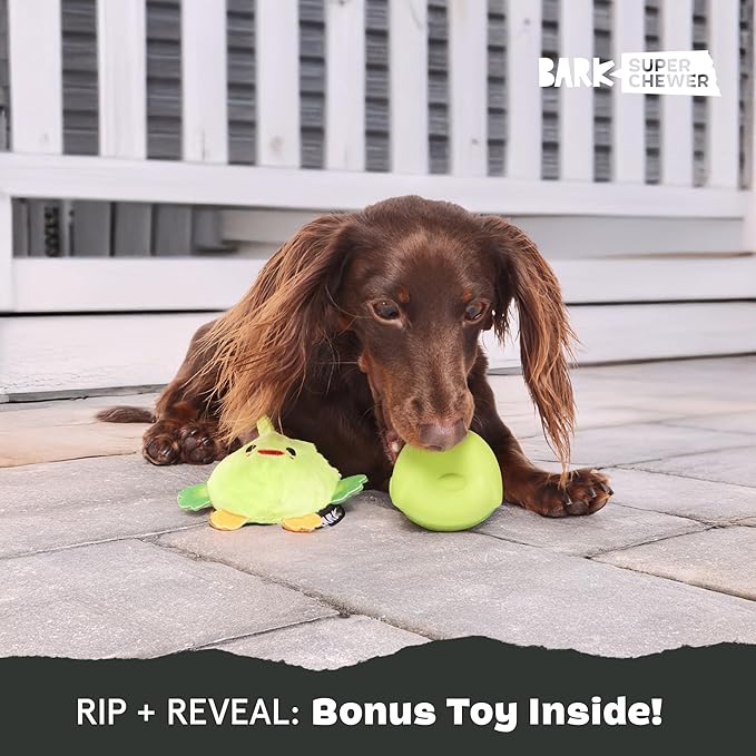 Barkbox Piper Parrot Dog Toy for Small Dogs, Perfect for Flipping Fun and Tearable Outer Layer with Bonus Toy Inside for Extra Playtime Excitement