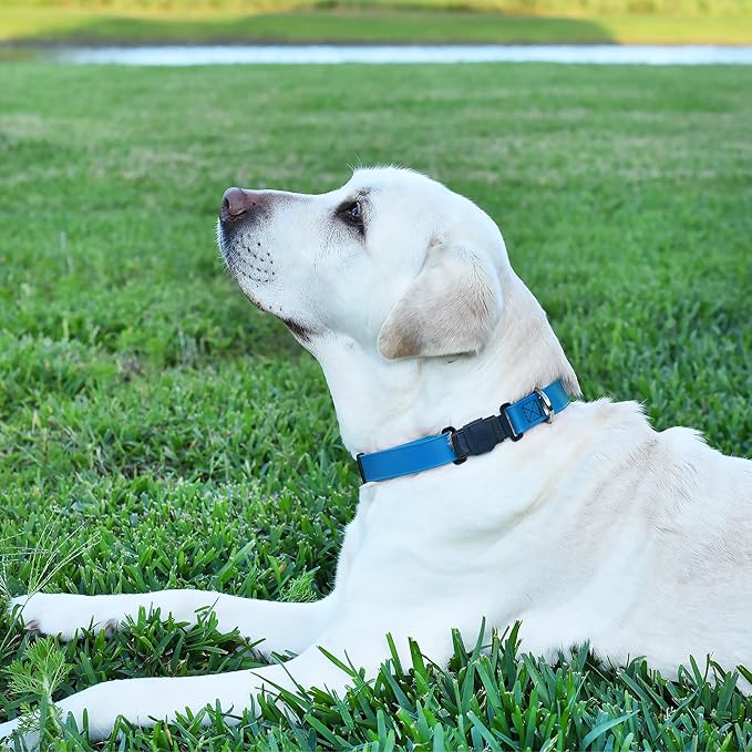 Dogline Biothane Waterproof Dog Collar with Herm Sprenger Stainless Steel Quick Release Buckle – Heavy Duty Tactical Durable Collar for Dogs – Comfortable and Safe Pet Collar, W 1" L 15-25", Blue