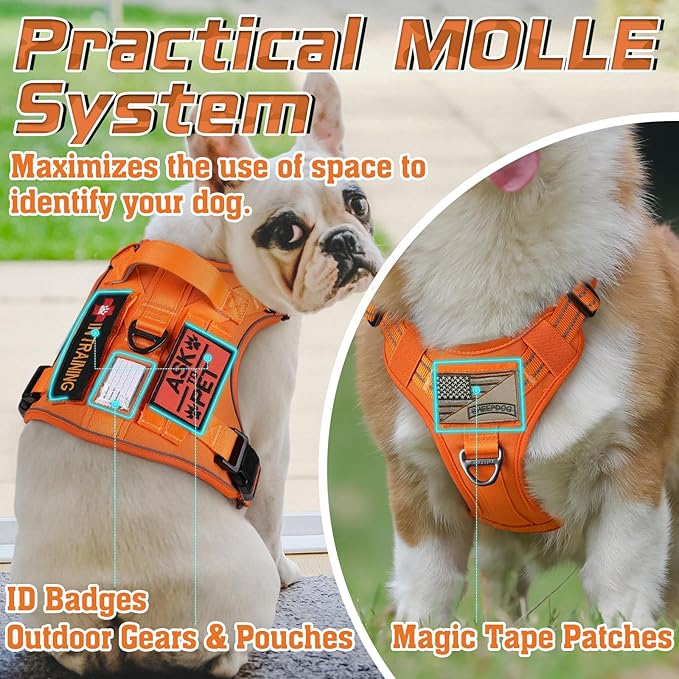 rabbitgoo Tactical Dog Harness for Small Dogs, No Pull Military Service Vest with Handle & Molle, Easy Control for Training Walking, Adjustable Reflective Straps, Orange, S