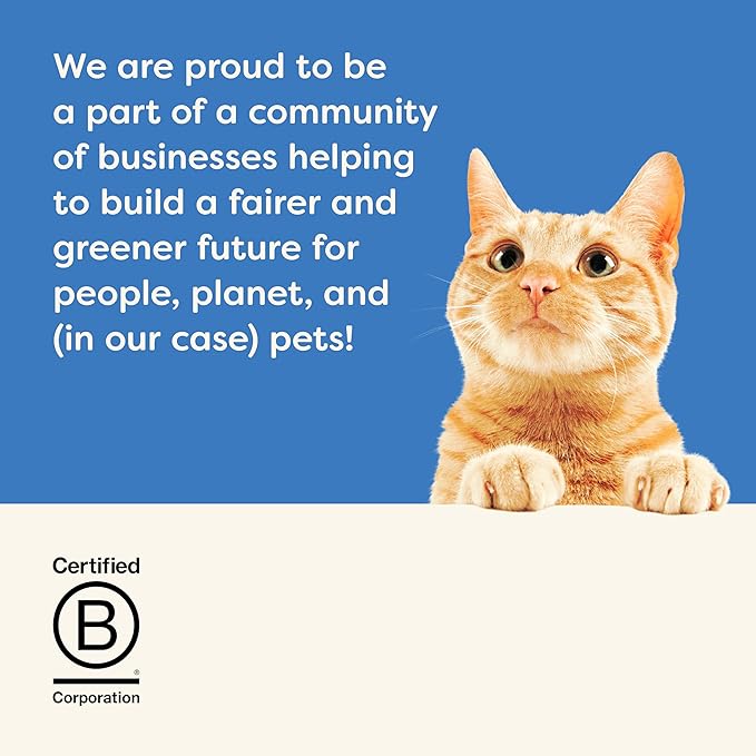 Applaws Natural Wet Cat Food in Broth, Limited Ingredient Wet Cat Food Pouches, No Additives, Made with Natural Ingredients, Tuna Fillet with Salmon in Broth (12 x 5.3oz Pouches)