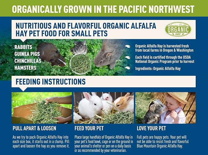 Blue Mountain Hay High-Altitude Hay - Organic Alfalfa, 10lb - High Protein, Fiber & Mineral-Rich - Soft, Leafy, High Leaf Retention - Ideal for Goats, Rabbits, Guinea Pigs & Other Small Animals