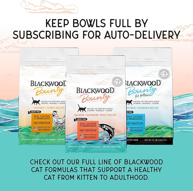Blackwood Bounty Dry Cat Food, Salmon & Rainbow Trout Recipe for All Life Stages, 2 Pound Bag, High Protein, Grain Free
