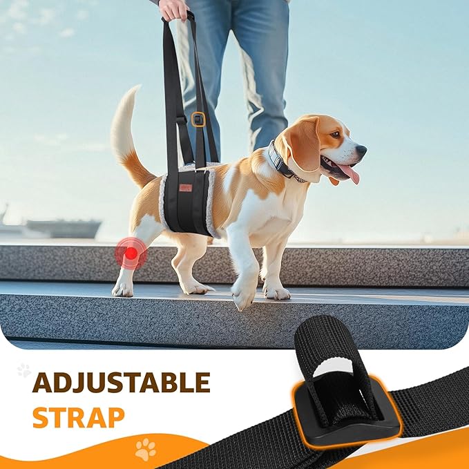 Adjustable Dog Lift Harness, Dog Sling for Large Dogs Hind Leg Support, Soft Lift Support Helps Senior, Injured, Disabled and After ACL Surgery Dogs-Black & Grey (Medium)