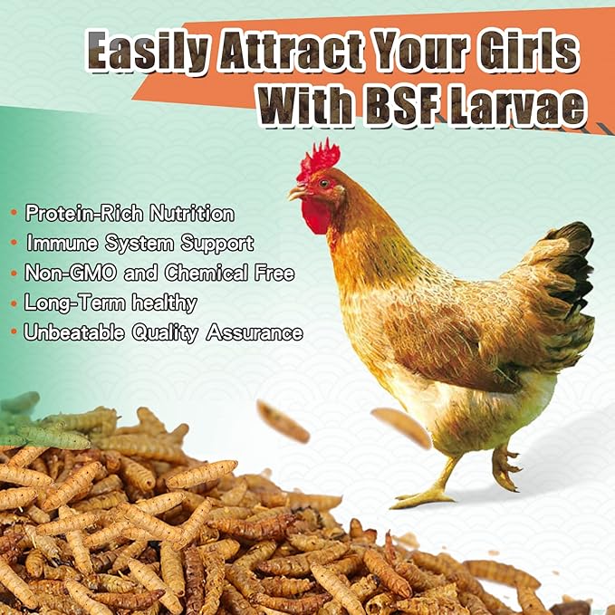 Dried Black Soldier Fly Larvae 10LBS, 85X More Calcium Than Mealworms High-Protein BSF Larvae Chicken Treats Non-GMO BSFL for Chickens, Hens, Ducks, Wild Birds