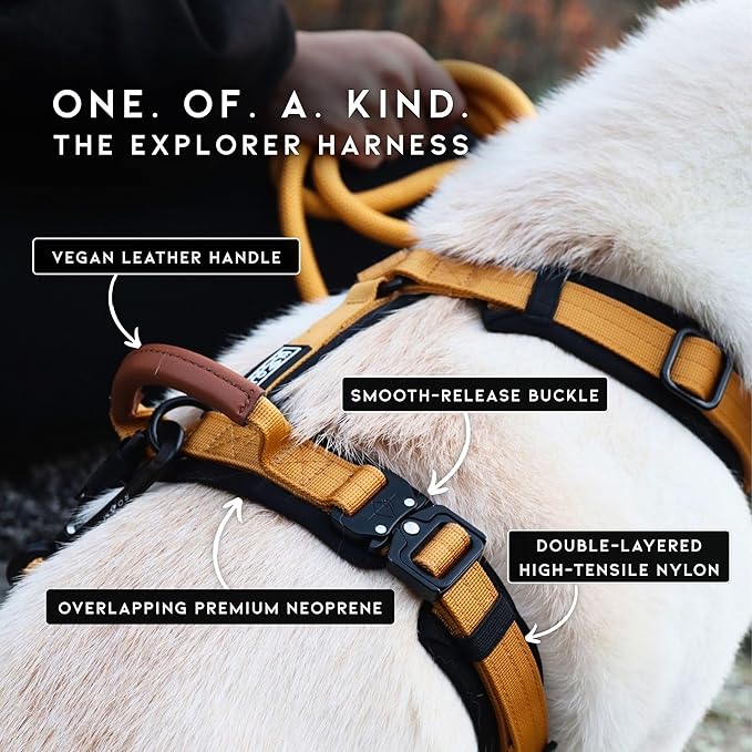 MADE TO ROAM Premium Explorer Harness - Y-Shaped Dog Harness with Adjustable Durable Nylon, Soft Padding, Metal Buckles and Leather Handle for Small, Medium, Large Dogs (Oregon Haze, Size 1)
